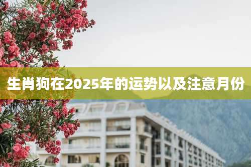 生肖狗在2025年的运势以及注意月份