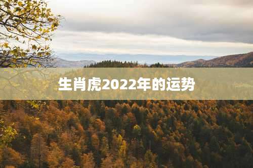 生肖虎2022年的运势