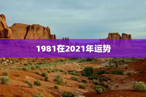 1981在2021年运势