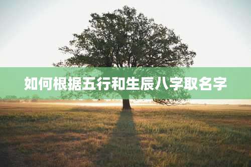 如何根据五行和生辰八字取名字