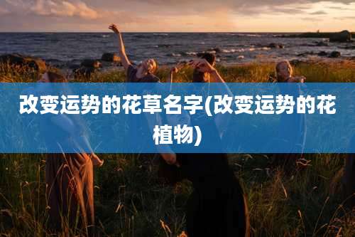 改变运势的花草名字(改变运势的花植物)