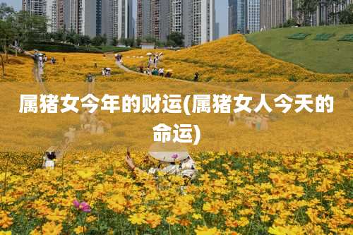 属猪女今年的财运(属猪女人今天的命运)