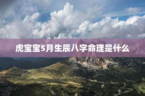 虎宝宝5月生辰八字命理是什么