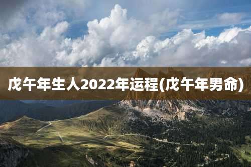 戊午年生人2022年运程(戊午年男命)