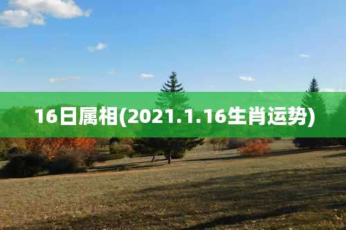 16日属相(2021.1.16生肖运势)