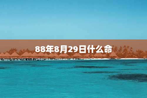 88年8月29日什么命