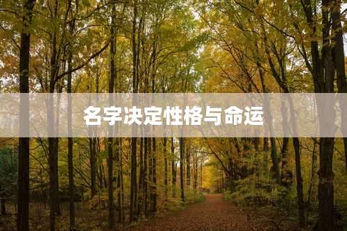 名字决定性格与命运