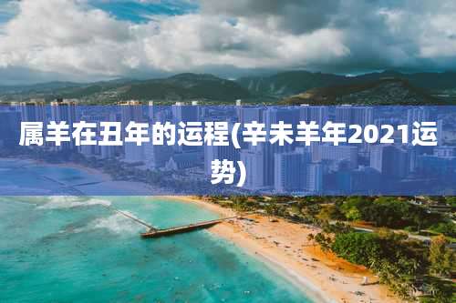 属羊在丑年的运程(辛未羊年2021运势)