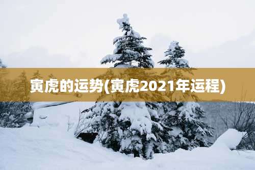 寅虎的运势(寅虎2021年运程)