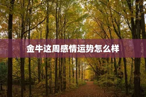 金牛这周感情运势怎么样