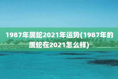 1987年属蛇2021年运势(1987年的属蛇在2021怎么样)