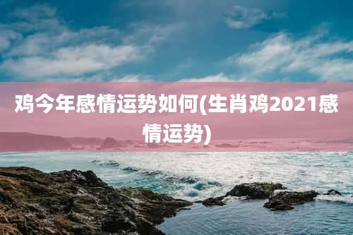 鸡今年感情运势如何(生肖鸡2021感情运势)