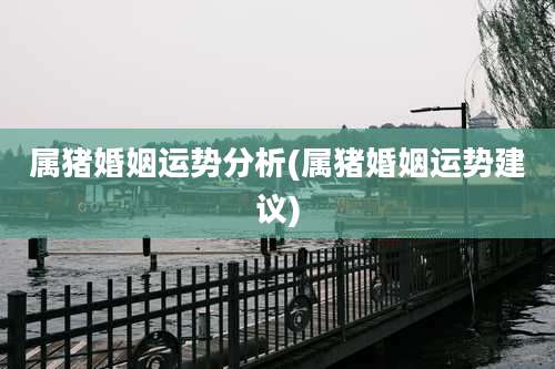 属猪婚姻运势分析(属猪婚姻运势建议)