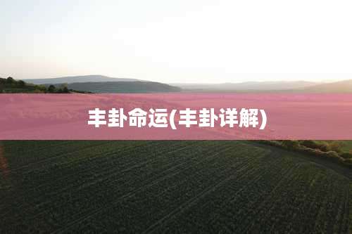 丰卦命运(丰卦详解)