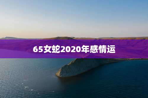 65女蛇2020年感情运
