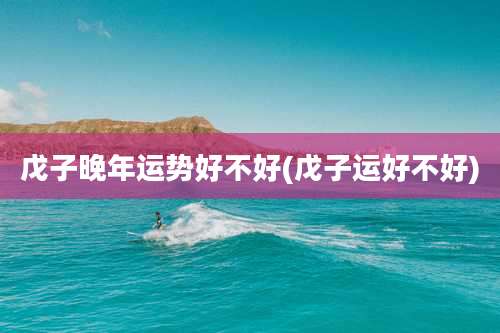 戊子晚年运势好不好(戊子运好不好)