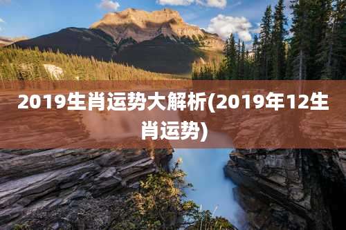 2019生肖运势大解析(2019年12生肖运势)
