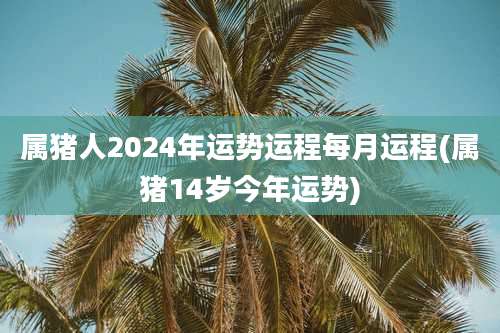 属猪人2024年运势运程每月运程(属猪14岁今年运势)