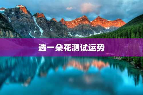 选一朵花测试运势
