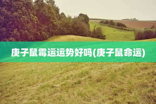 庚子鼠霉运运势好吗(庚子鼠命运)