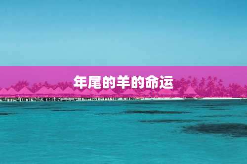 年尾的羊的命运