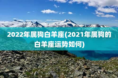 2022年属狗白羊座(2021年属狗的白羊座运势如何)