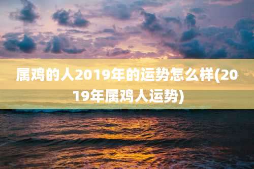属鸡的人2019年的运势怎么样(2019年属鸡人运势)