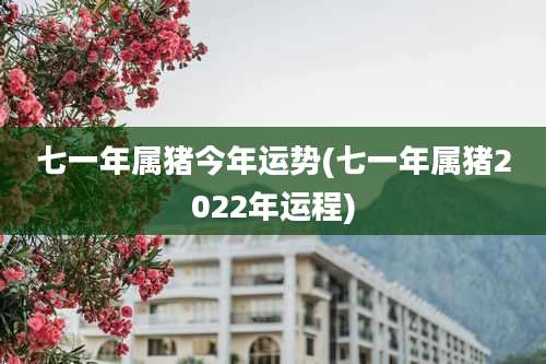 七一年属猪今年运势(七一年属猪2022年运程)