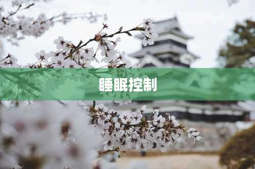 睡眠控制