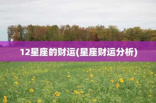 12星座的财运(星座财运分析)