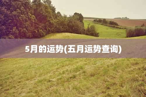 5月的运势(五月运势查询)
