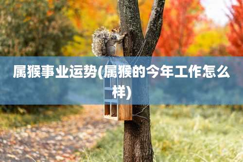 属猴事业运势(属猴的今年工作怎么样)