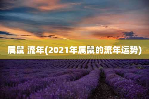属鼠 流年(2021年属鼠的流年运势)