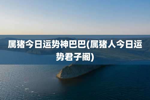 属猪今日运势神巴巴(属猪人今日运势君子阁)