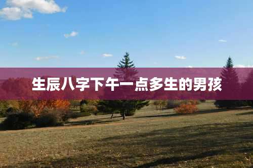 生辰八字下午一点多生的男孩