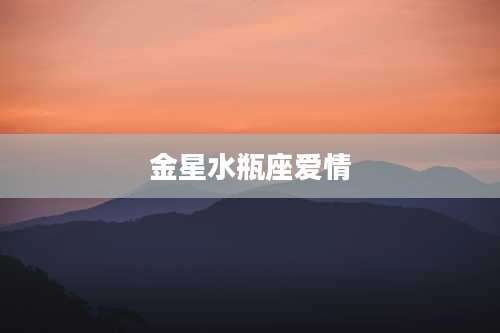 金星水瓶座爱情