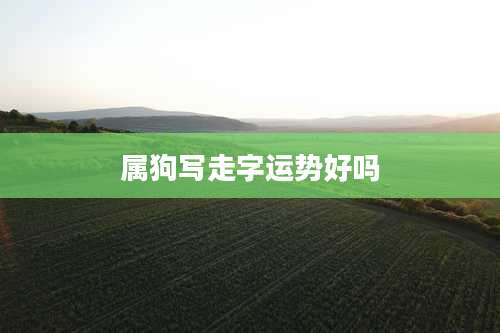 属狗写走字运势好吗