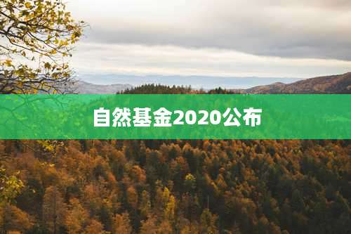 自然基金2020公布
