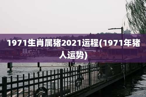 1971生肖属猪2021运程(1971年猪人运势)