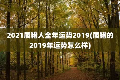 2021属猪人全年运势2019(属猪的2019年运势怎么样)