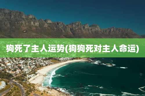 狗死了主人运势(狗狗死对主人命运)