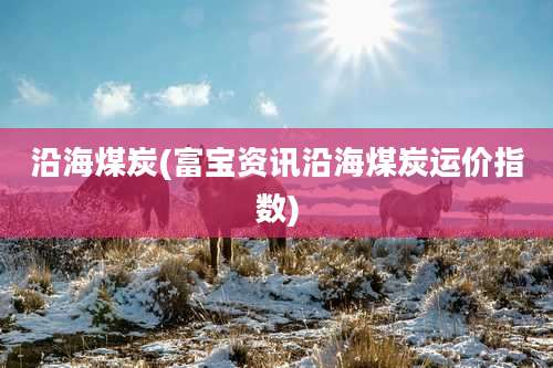 沿海煤炭(富宝资讯沿海煤炭运价指数)