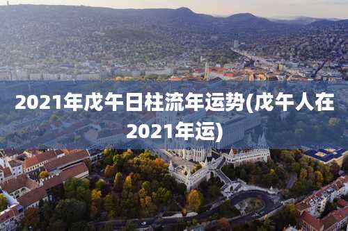 2021年戊午日柱流年运势(戊午人在2021年运)