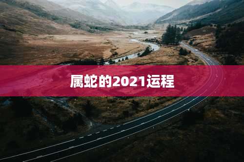 属蛇的2021运程