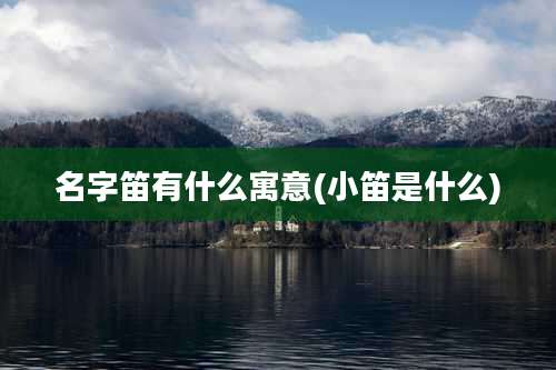 名字笛有什么寓意(小笛是什么)