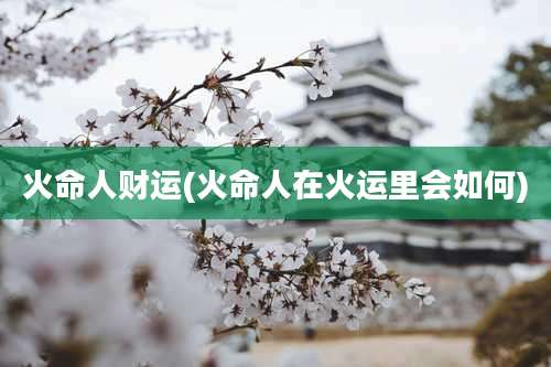 火命人财运(火命人在火运里会如何)