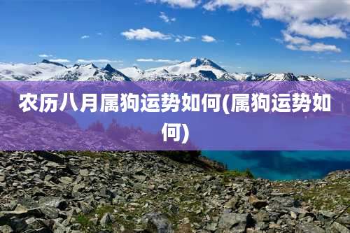 农历八月属狗运势如何(属狗运势如何)