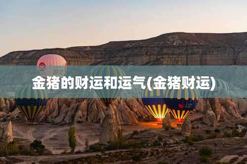 金猪的财运和运气(金猪财运)