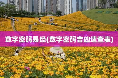 数字密码易经(数字密码吉凶速查表)