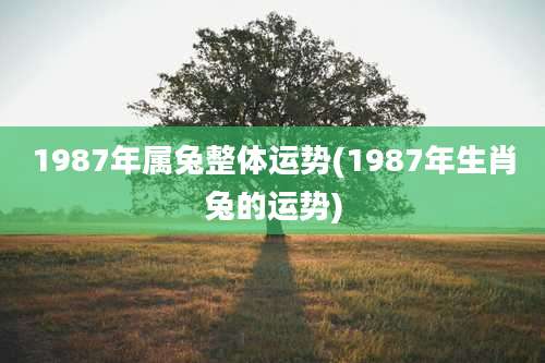 1987年属兔整体运势(1987年生肖兔的运势)